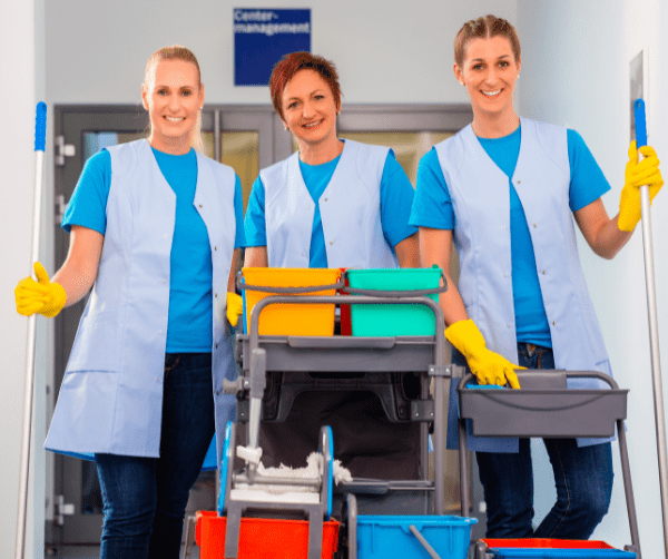 seo cleaning services