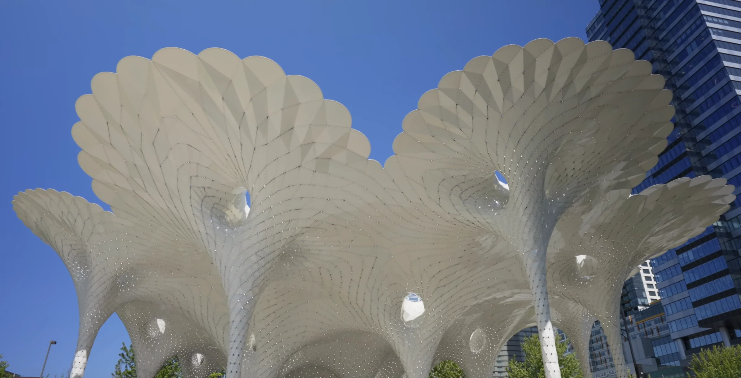 Local SEO Services in Bellevue WA