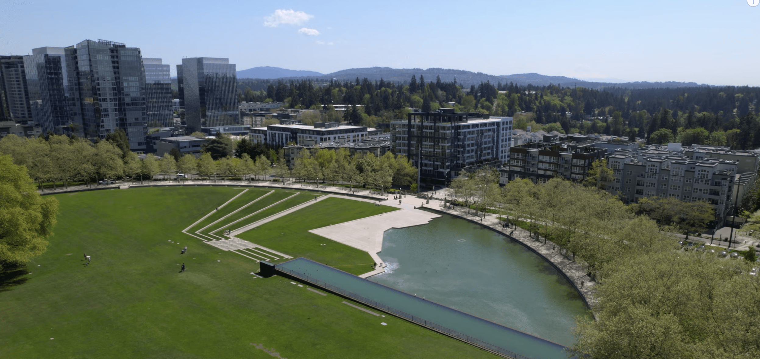 Local SEO Services in Bellevue WA