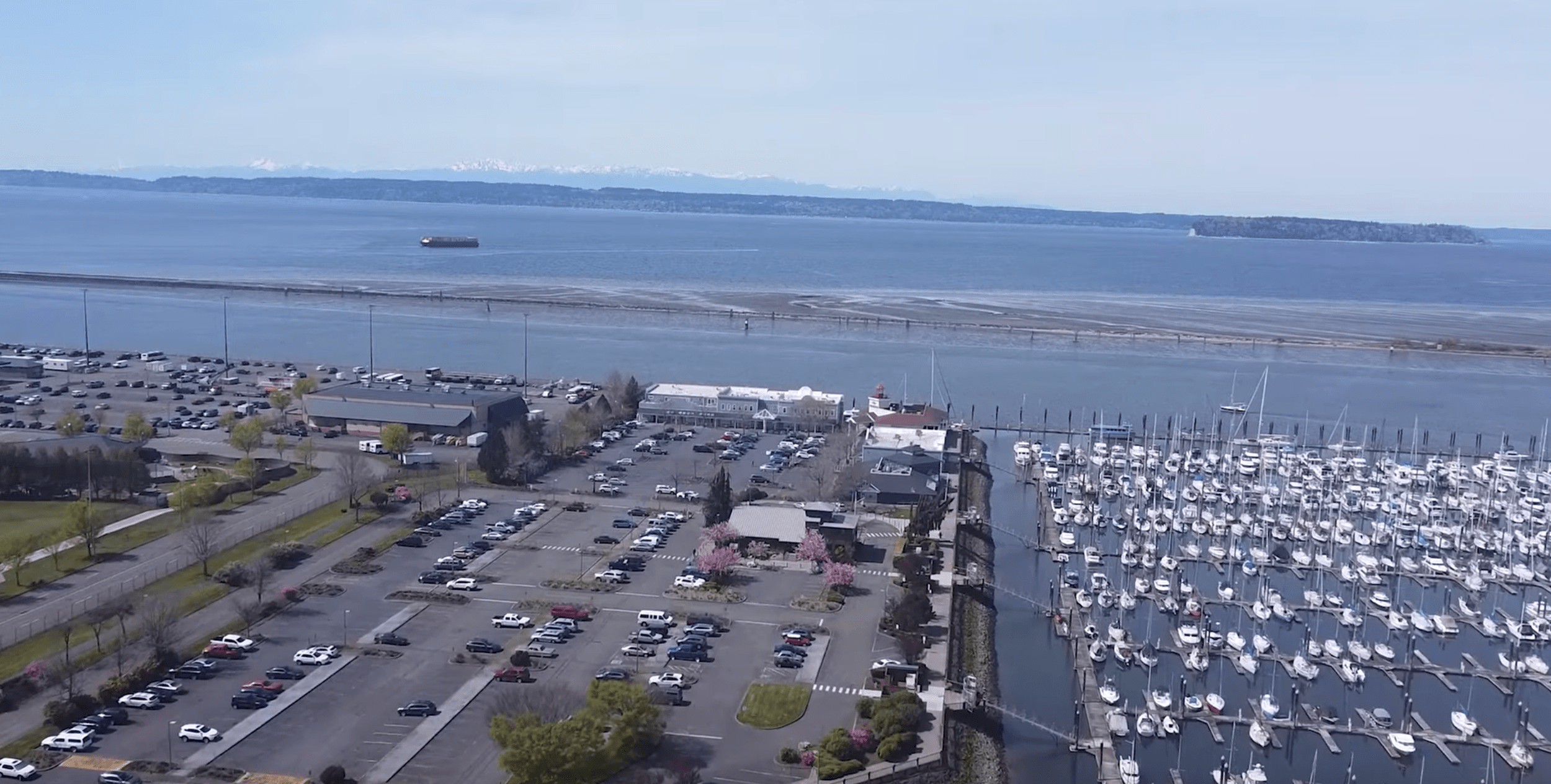 Local SEO Services in Everett WA